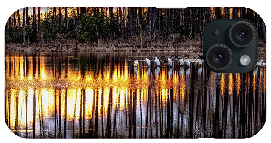 Blackwater Wildlife Refuge iPhone Case featuring the photograph Egrets at Sunset by C Renee Martin