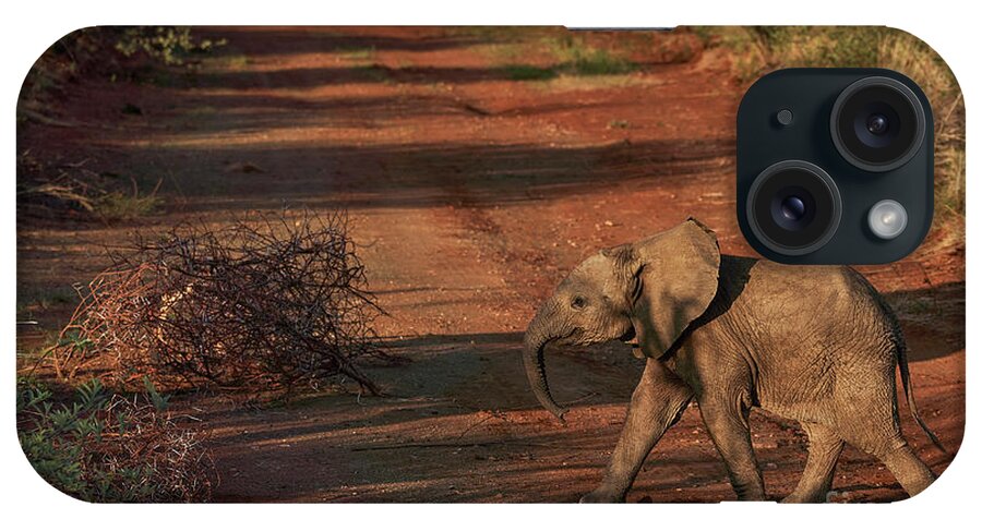 Water iPhone Case featuring the photograph Elephant Calf by Brian Kamprath
