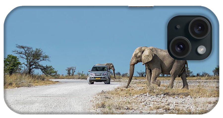 African Elephants iPhone Case featuring the photograph Elephant Crossing by Belinda Greb