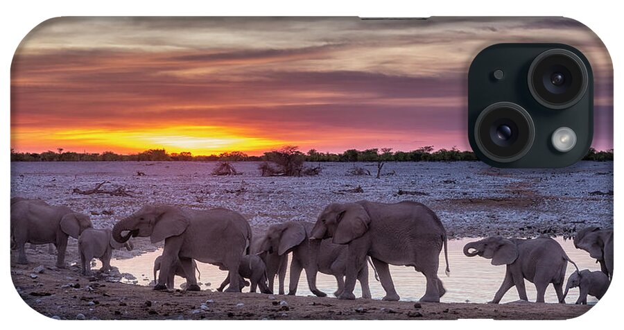 Elephants iPhone Case featuring the photograph Elephant Herd at Okaukuejo Waterhole at Sunset by Belinda Greb