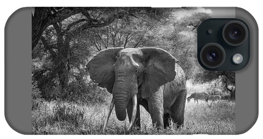 Elephant iPhone Case featuring the photograph Elephant Tarangire National Park Tanzania by Mary Lee Dereske