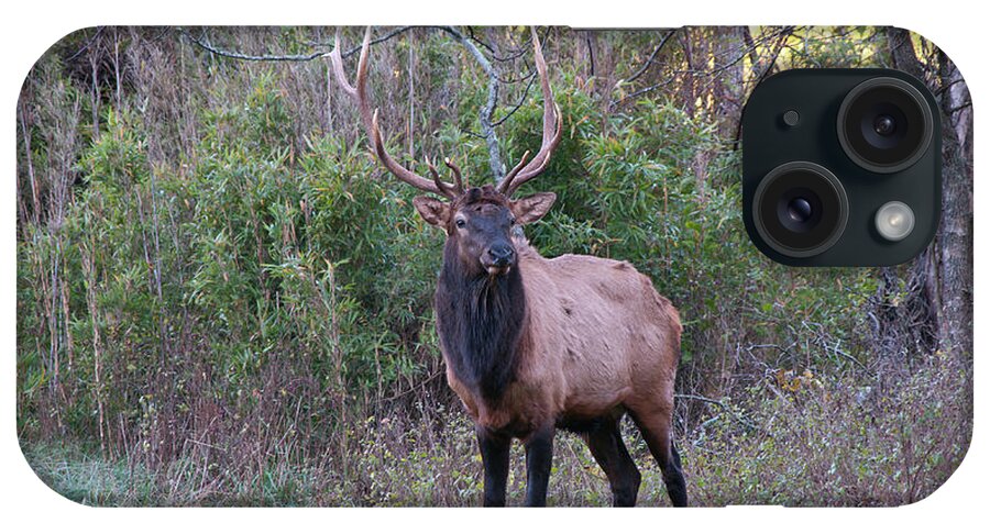 Elk iPhone Case featuring the photograph Elk - 7597 by Jerry Owens