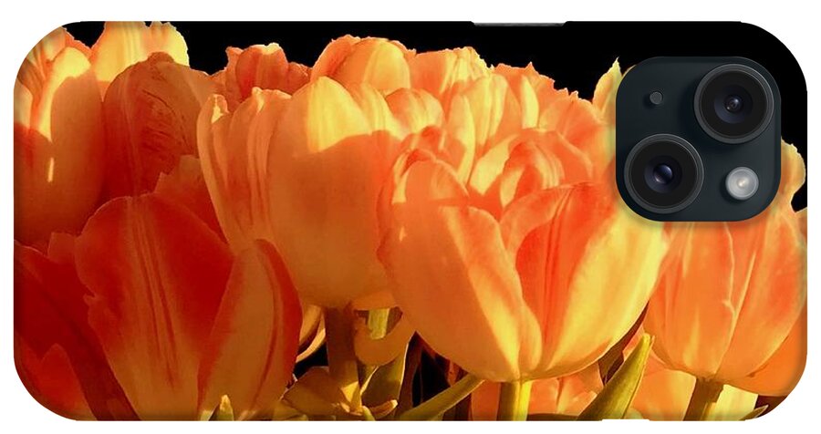 Viva iPhone Case featuring the photograph Emilie's Tulips - Unframed by VIVA Anderson