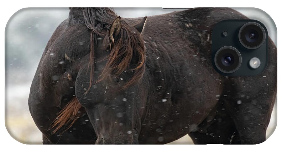 Wild Horses iPhone Case featuring the photograph Endurance by Mary Hone