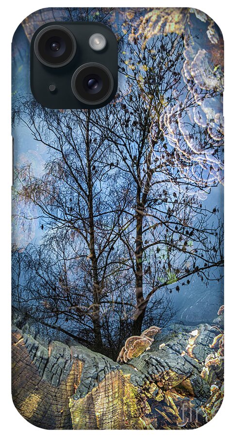 Berkenwoude iPhone Case featuring the photograph Entrance to the Magic Forest by Casper Cammeraat