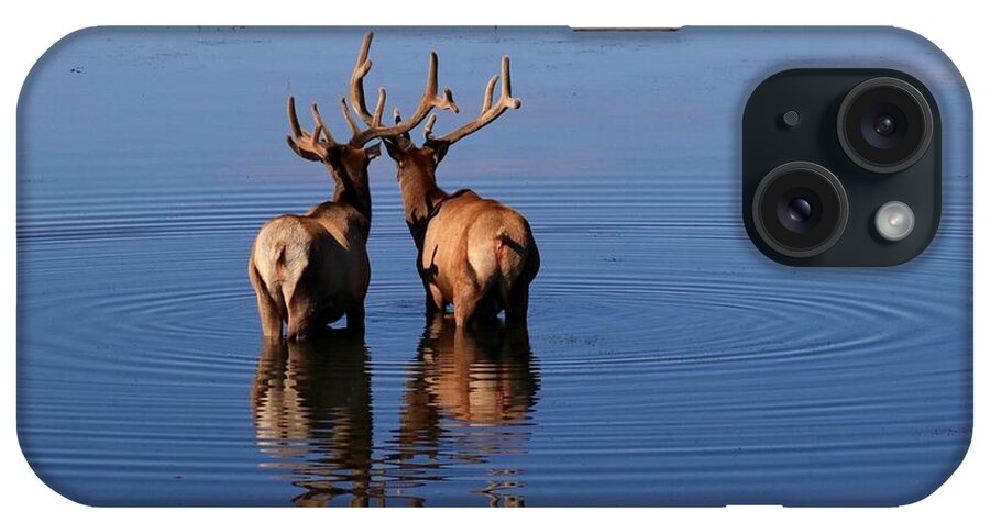 Antler iPhone Case featuring the photograph Entwined Antlers by Yvonne M Smith