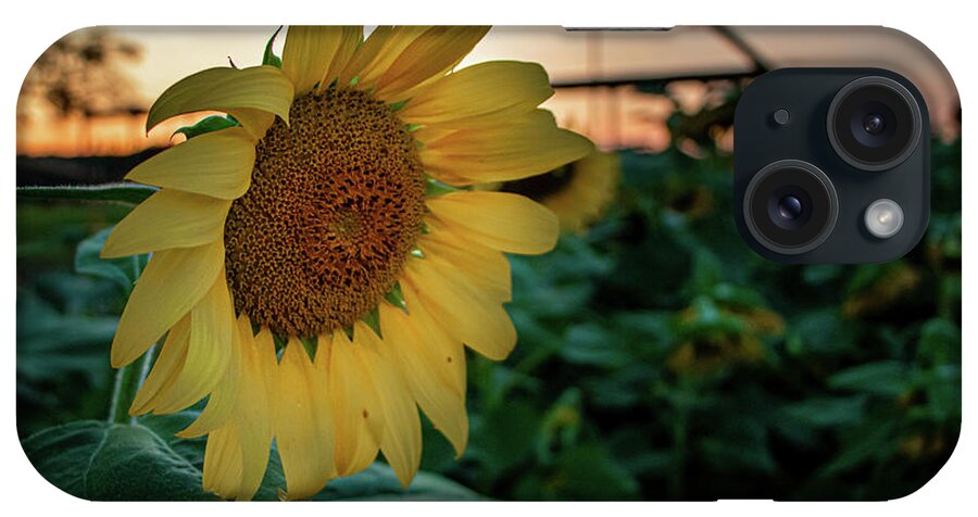 Landscape iPhone Case featuring the photograph Evening Flower by Jamie Tyler