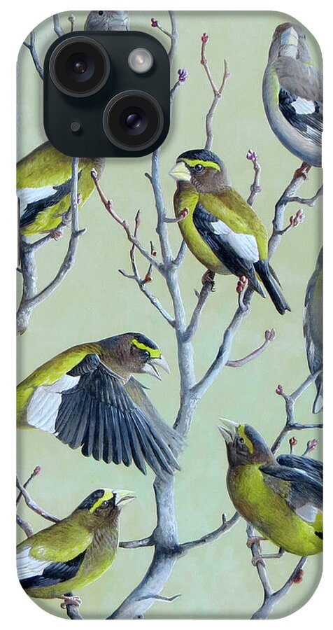Evening Grosbeak iPhone Case featuring the painting Evening Grosbeaks by Barry Kent MacKay