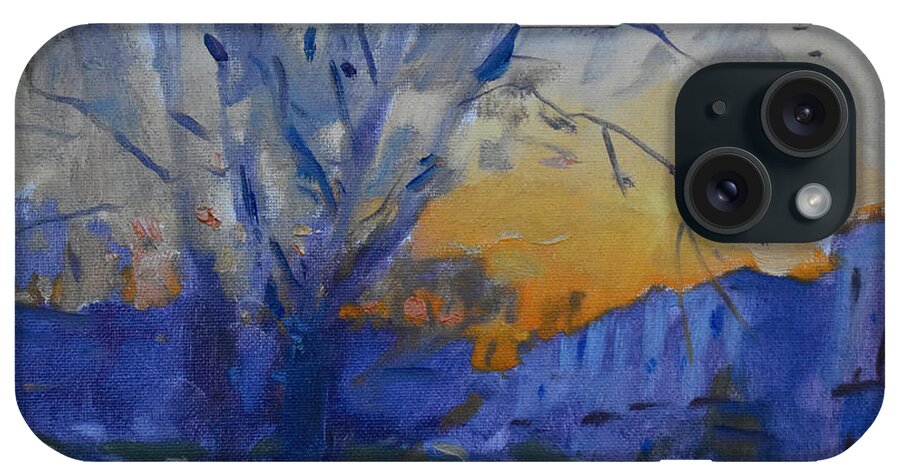Evening iPhone Case featuring the painting Evening on my Backyard by Ylli Haruni