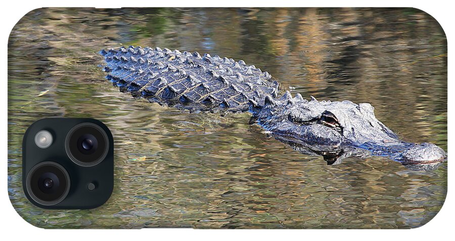 Alligator iPhone Case featuring the photograph Everglades Alligator Free by Custom Aviation Art