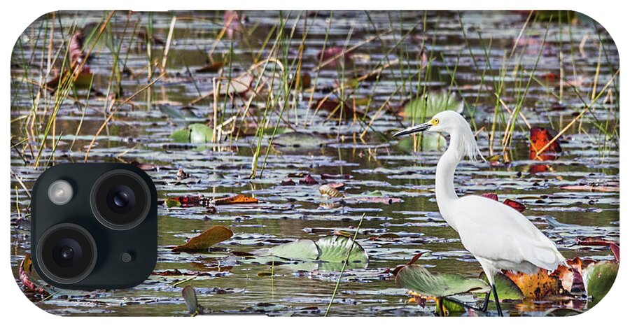 White Heron iPhone Case featuring the photograph Everglades Great White Egret by Tom Watkins PVminer pixs