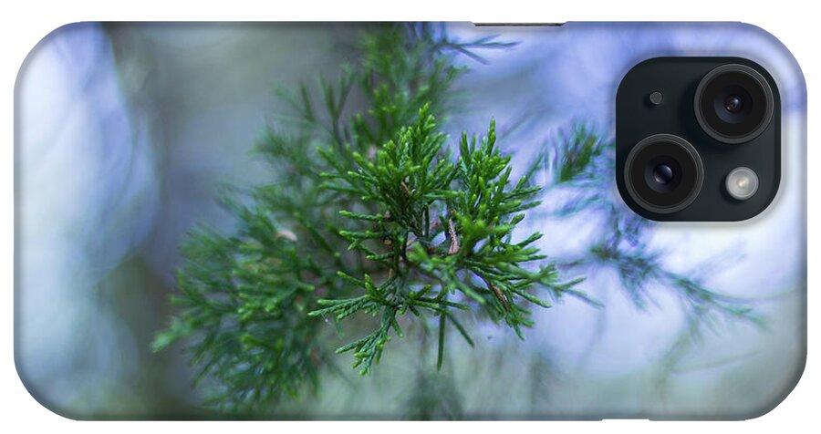 Tree iPhone Case featuring the photograph Evergreen by David Beechum