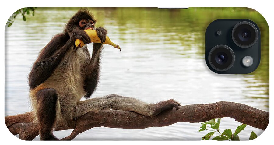 Belize iPhone Case featuring the photograph Everybody likes bananas by Tatiana Travelways