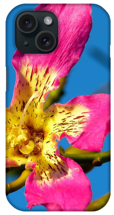 Nature iPhone Case featuring the mixed media Everyday Sunshine by Marvin Blaine