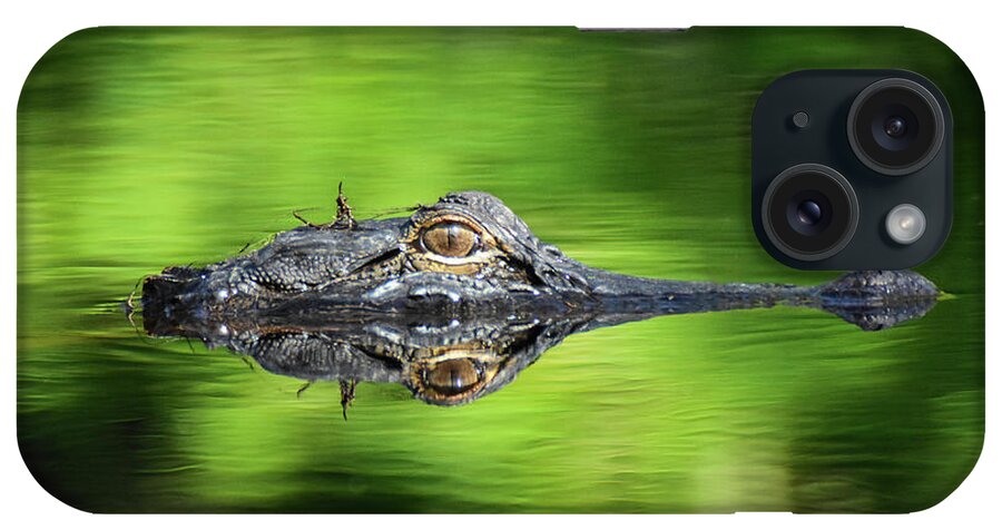 Alligator iPhone Case featuring the photograph Gator Head by Ed Stokes