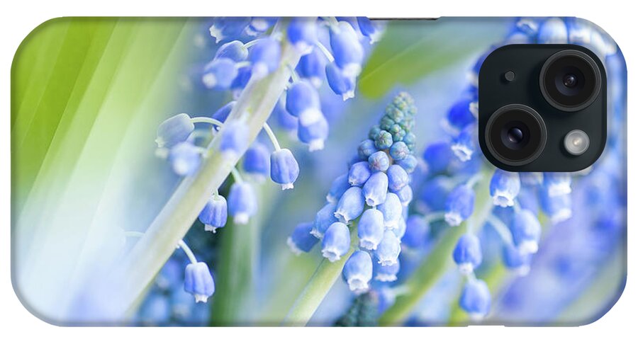 Abstracts iPhone Case featuring the photograph Fairy Dell Garden by Marilyn Cornwell