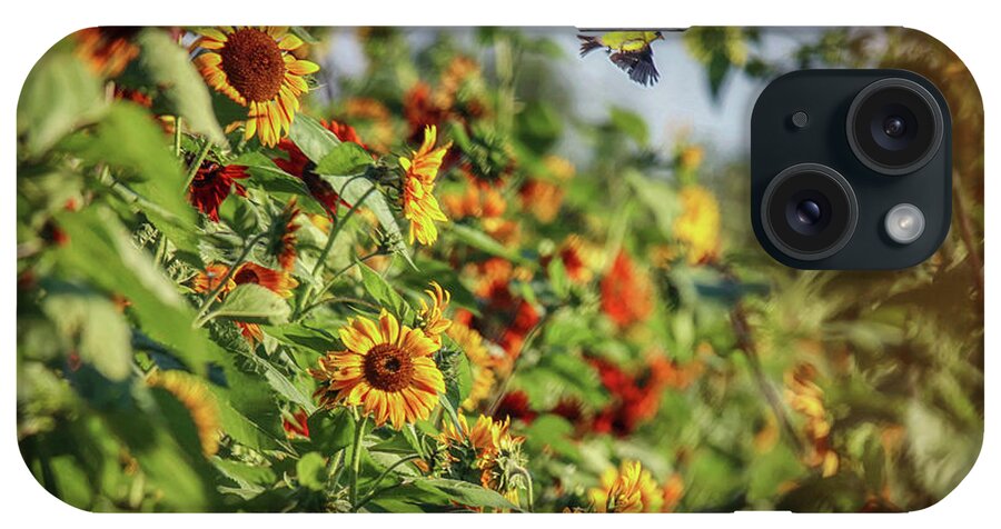 Sunflower iPhone Case featuring the photograph Fairytale Summer by Carrie Ann Grippo-Pike