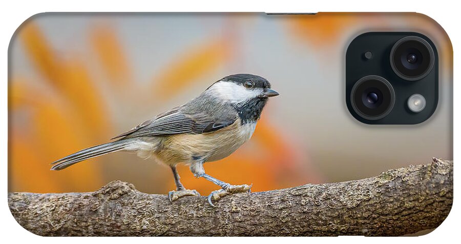 Chickadee iPhone Case featuring the photograph Fall Chickadee by David Downs