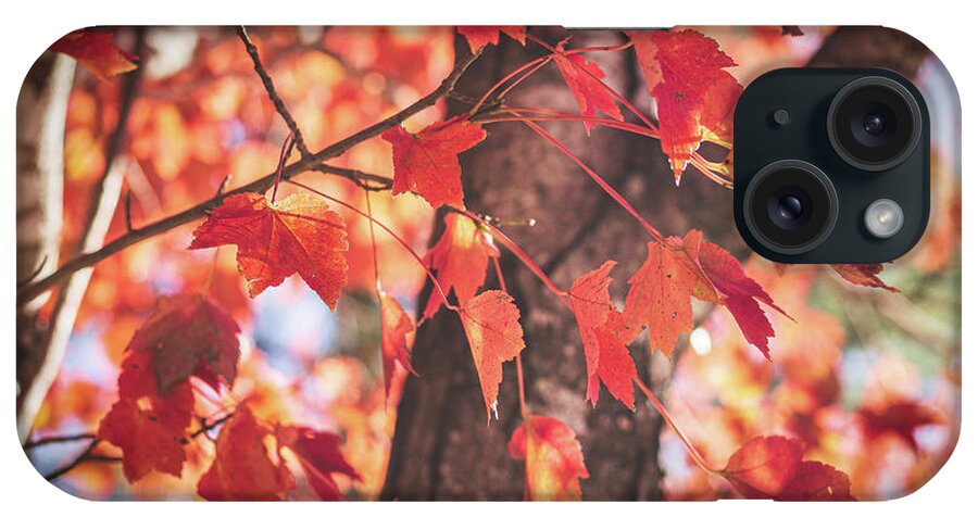 Fall Color iPhone Case featuring the photograph Fall Color by Randy Bayne