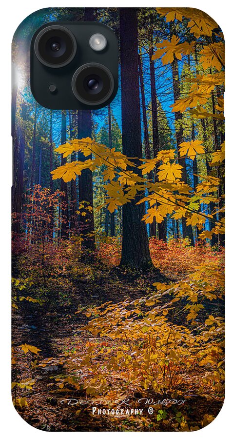 Landscape iPhone Case featuring the photograph Fall colors in the Sierrras by Devin Wilson