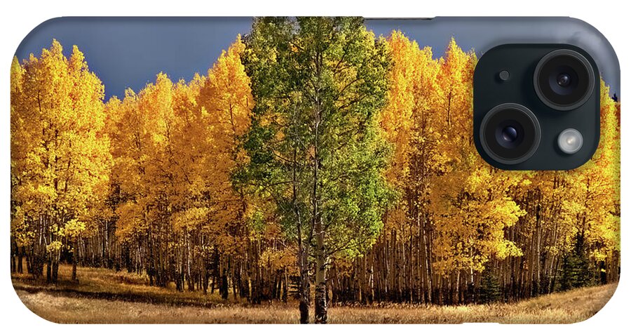 Fall Colors iPhone Case featuring the photograph Fall Green and Gold by Bob Falcone