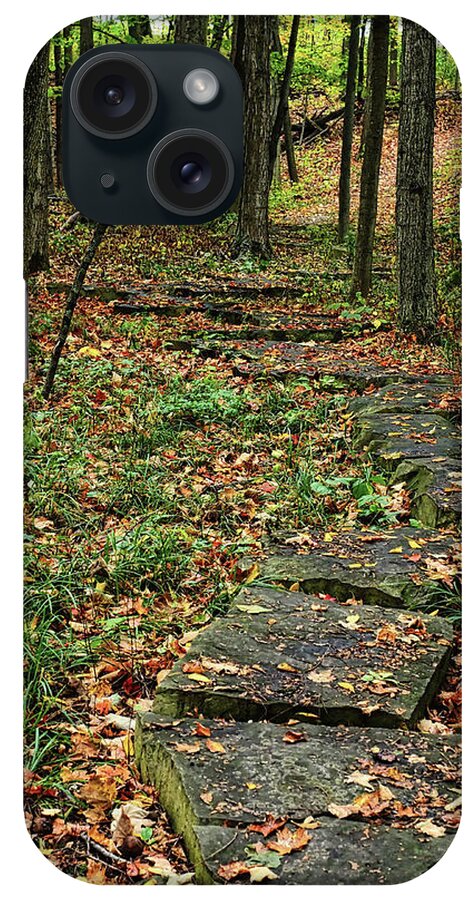 Trees iPhone Case featuring the photograph Fall Stone Pathway by Scott Olsen