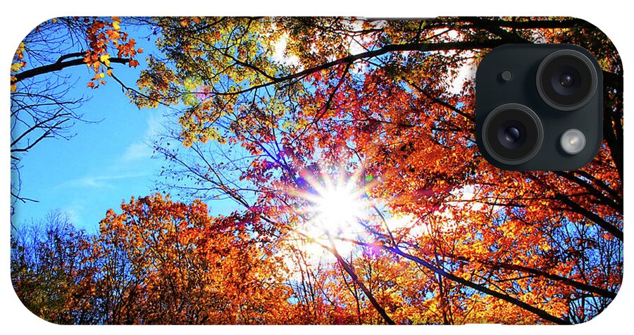 Fall iPhone Case featuring the photograph Fall Sunshine by Scott Olsen