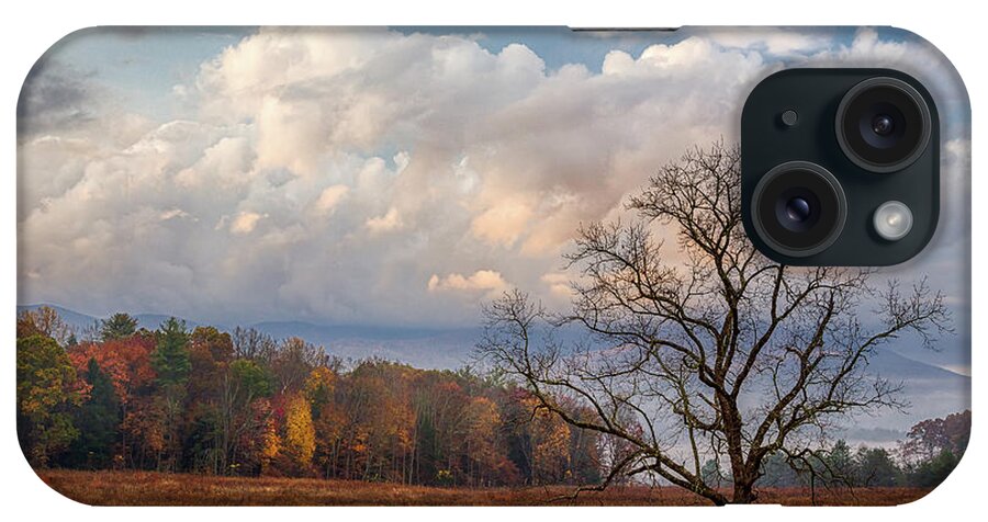  iPhone Case featuring the photograph Fall Tree by Jim Miller