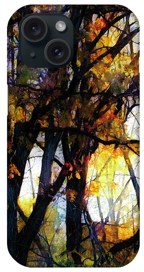 Woods iPhone Case featuring the photograph Fall trees by Tim Nyberg