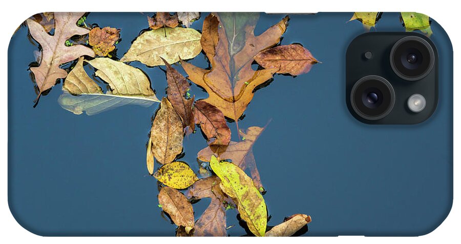 Autumn iPhone Case featuring the photograph Fallen Leaves III Color by David Gordon