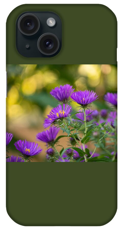 Flowers iPhone Case featuring the photograph Falling for Asters by Linda Bonaccorsi
