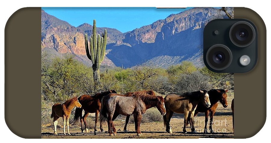 Salt River Wild Horse iPhone Case featuring the digital art Family by Tammy Keyes