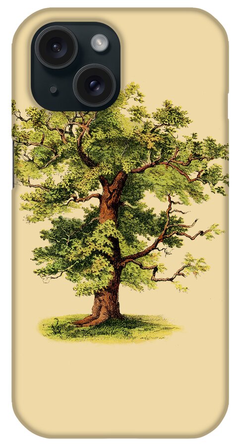 Oak iPhone Case featuring the digital art Family Tree by Madame Memento
