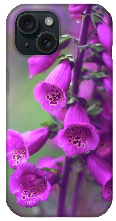 Foxglove iPhone Case featuring the photograph Fancy Foxglove by Jessica Jenney
