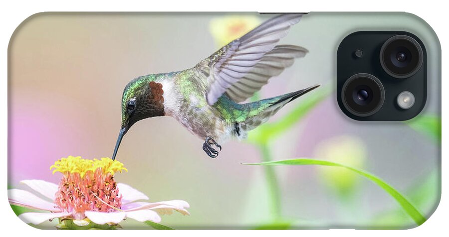 Ruby Throated Hummingbird iPhone Case featuring the photograph Feathered Fancy by Linda Shannon Morgan