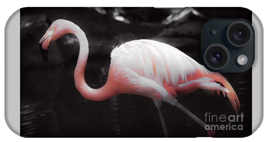 Flamingo iPhone 15 Case featuring the photograph Feathers by Veronica Batterson