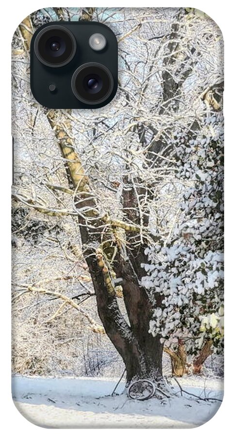 Winter iPhone Case featuring the photograph February Chill by Susan Hope Finley