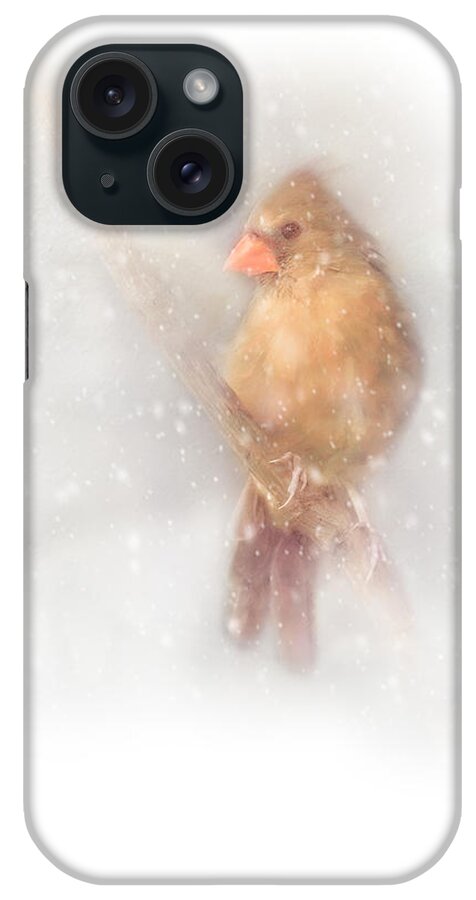 Cardinal iPhone Case featuring the photograph Female Cardinal in Snow by Marjorie Whitley