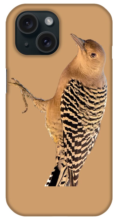 Animal iPhone Case featuring the photograph Female Gila Woodpecker 220930 by Mark Myhaver