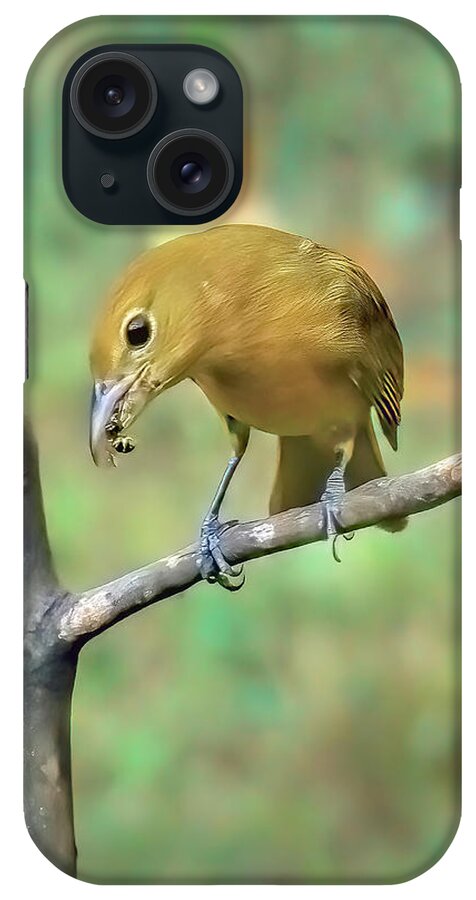 Female Summer Tanager With Yellow Jacket iPhone Case featuring the photograph Female Summer Tanager With Yellow Jacket by Bellesouth Studio