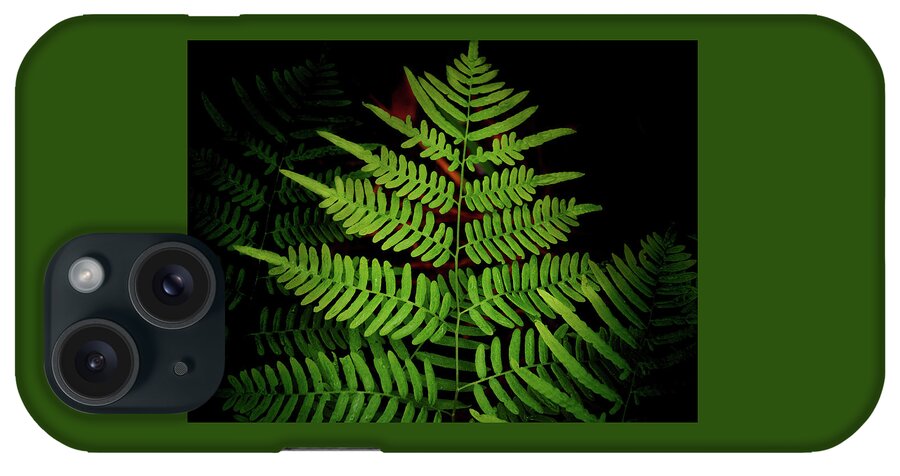 Fern iPhone Case featuring the photograph Fern Fronds by James C Richardson