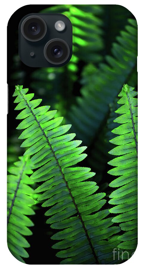 Botanical iPhone Case featuring the photograph Ferns by Becqi Sherman