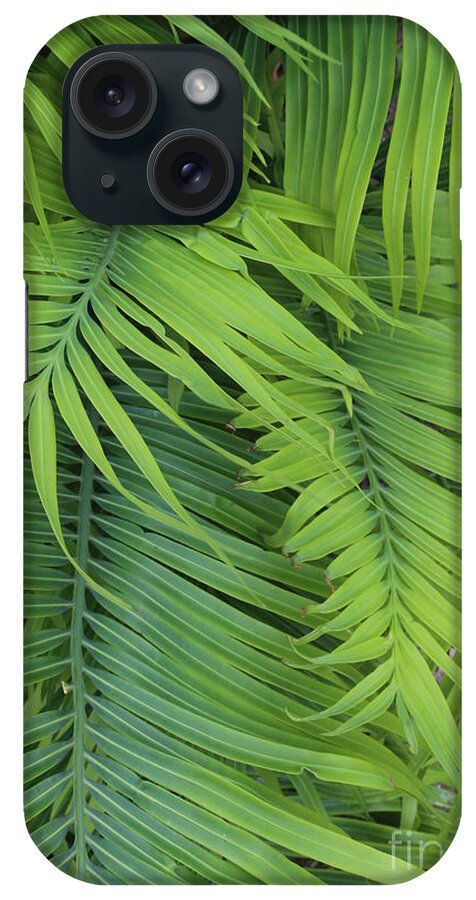 Green iPhone Case featuring the photograph Ferns by Neala McCarten