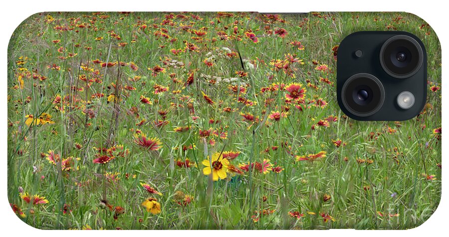Flowers iPhone Case featuring the photograph Field of Spring Wildflowers by Patrick Nowotny