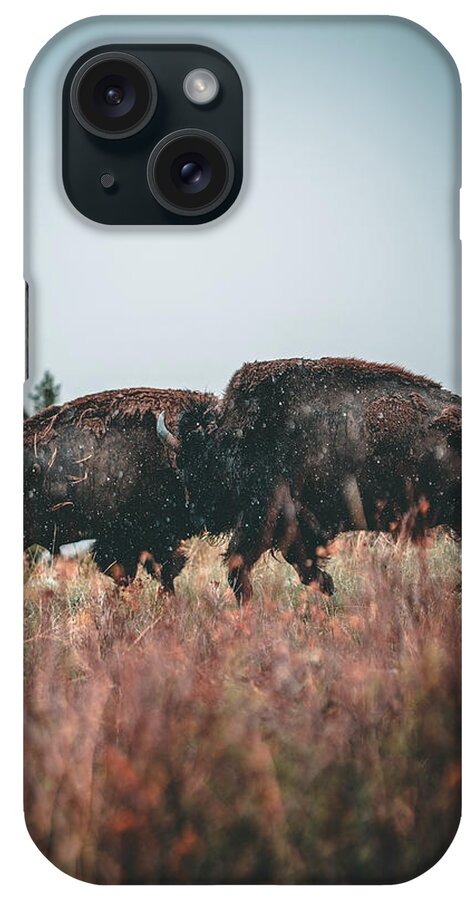  iPhone Case featuring the photograph Fighting Bison by William Boggs