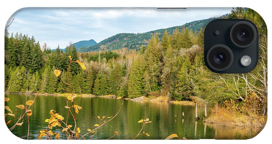 Fir Trees And Birch Leaves At Lake Shannon iPhone Case featuring the photograph Fir Trees and Birch Leaves at Lake Shannon by Tom Cochran