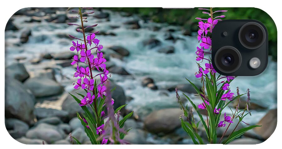 Alaska iPhone Case featuring the photograph Fireweed On The Litte Su by David Downs