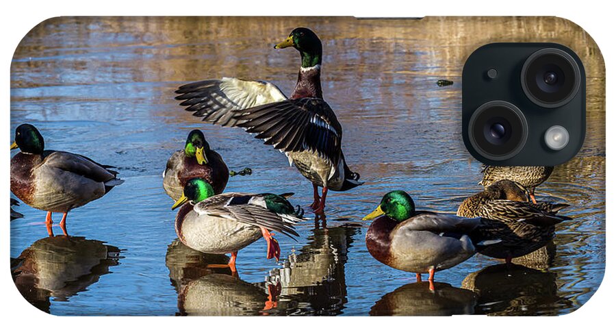 Birds iPhone Case featuring the photograph Flaping Our Wings - Mallard Ducks by Louis Dallara