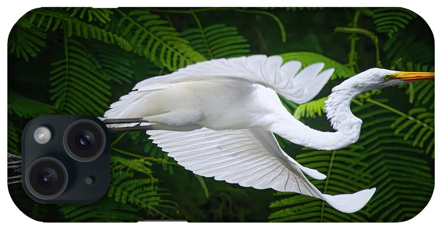 Great White Egret iPhone Case featuring the photograph Flight of Grace by Mark Andrew Thomas