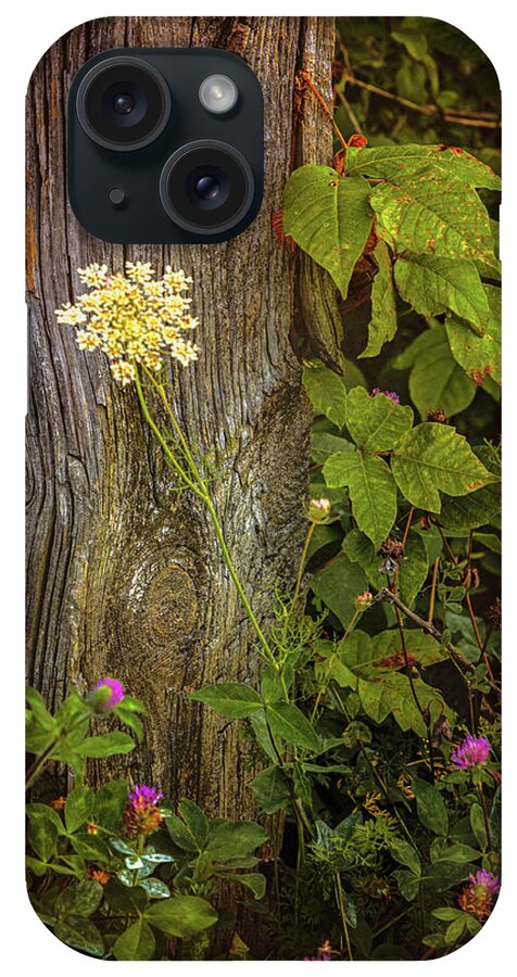 Flowers iPhone Case featuring the photograph Flora and Wood by Steve Kelley